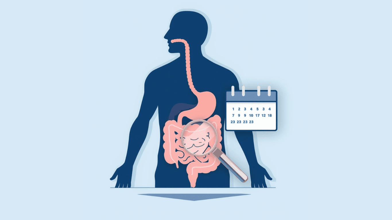 How Long Does it Take for the Gut to Heal? The Celiac Recovery Timeline